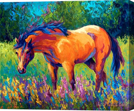 Marion Rose Dun Mare Stretched Canvas Print / Canvas Art