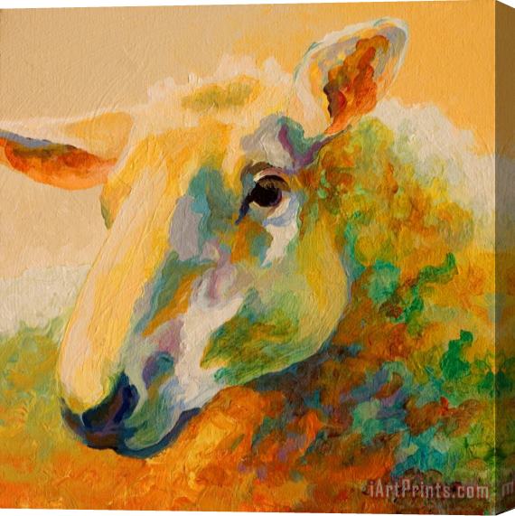 Marion Rose Ewe Portrait III Stretched Canvas Print / Canvas Art