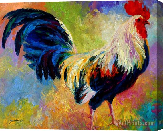Marion Rose Eye Candy - Rooster Stretched Canvas Print / Canvas Art