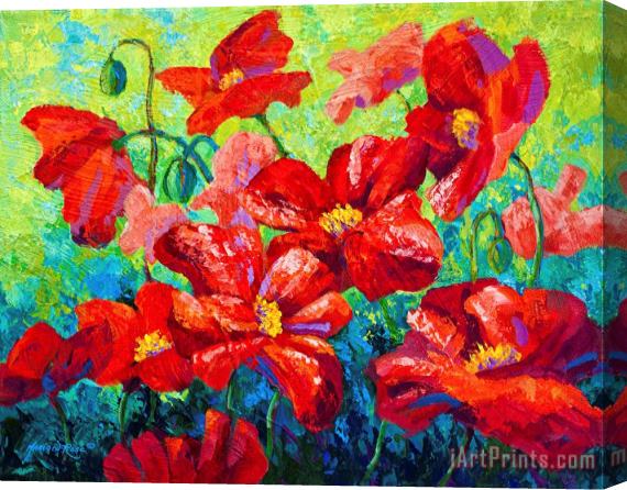 Marion Rose Field Of Red Poppies II Stretched Canvas Painting / Canvas Art
