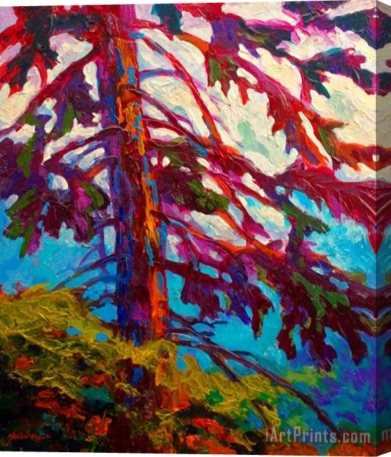Marion Rose Forest Elder Stretched Canvas Print / Canvas Art