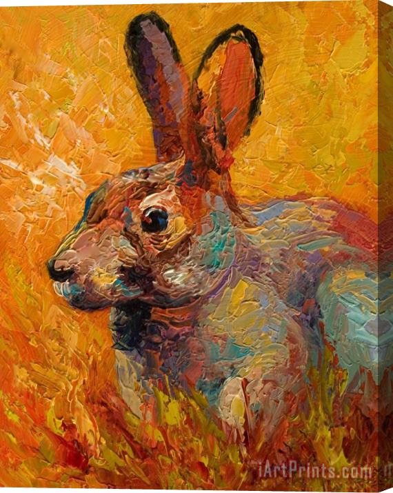 Marion Rose Forest Rabbit III Stretched Canvas Painting / Canvas Art