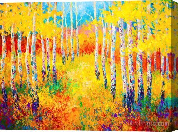 Marion Rose Golden Path Stretched Canvas Painting / Canvas Art