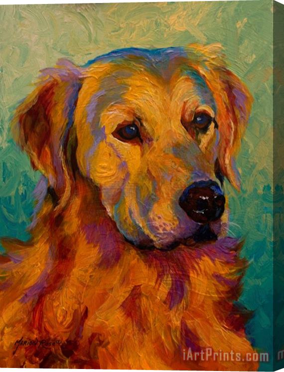 Marion Rose Golden Retriever Stretched Canvas Painting / Canvas Art