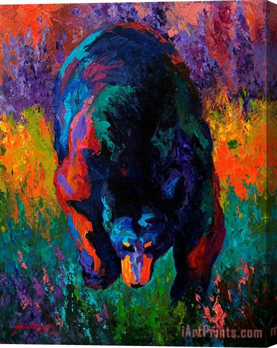 Marion Rose Grounded - Black Bear Stretched Canvas Painting / Canvas Art
