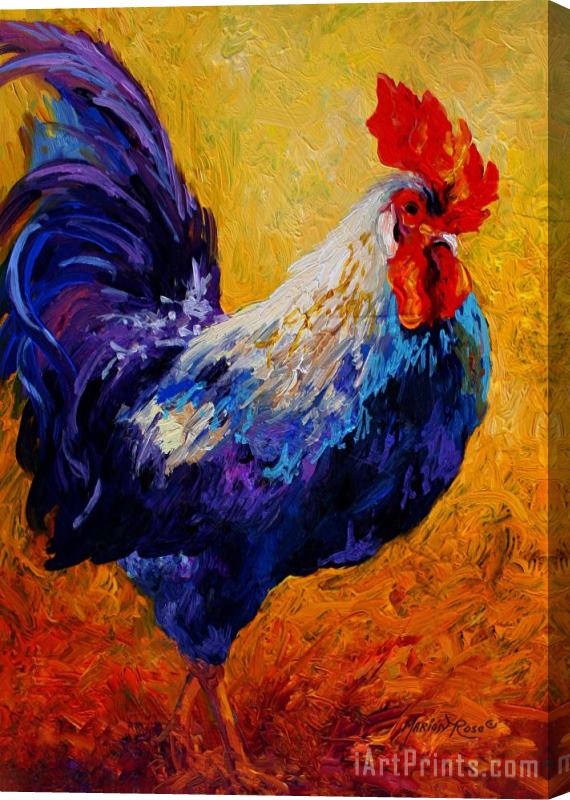 Marion Rose Indy - Rooster Stretched Canvas Painting / Canvas Art