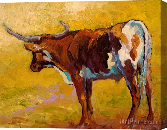 Marion Rose Longhorn Study Stretched Canvas Print / Canvas Art