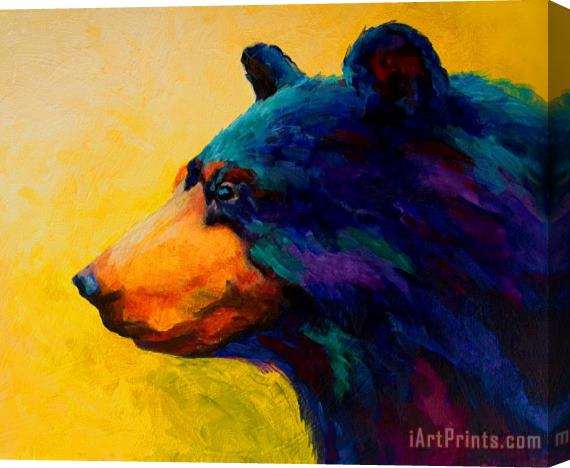 Marion Rose Looking On II - Black Bear Stretched Canvas Painting / Canvas Art