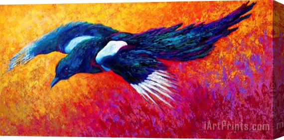 Marion Rose Magpie In Flight Stretched Canvas Painting / Canvas Art