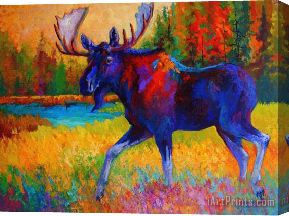 Marion Rose Majestic Monarch - Moose Stretched Canvas Painting / Canvas Art