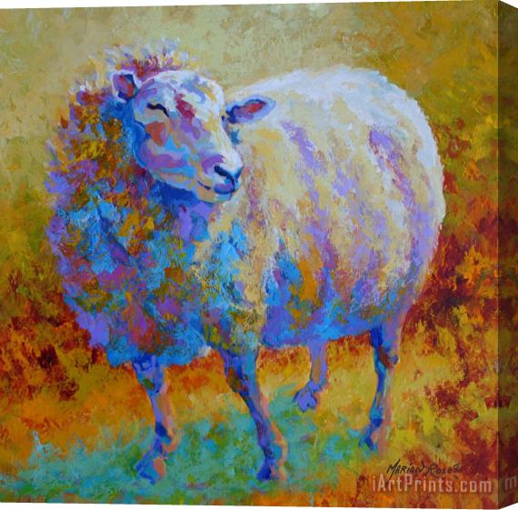 Marion Rose Me Me Me - Sheep Stretched Canvas Print / Canvas Art