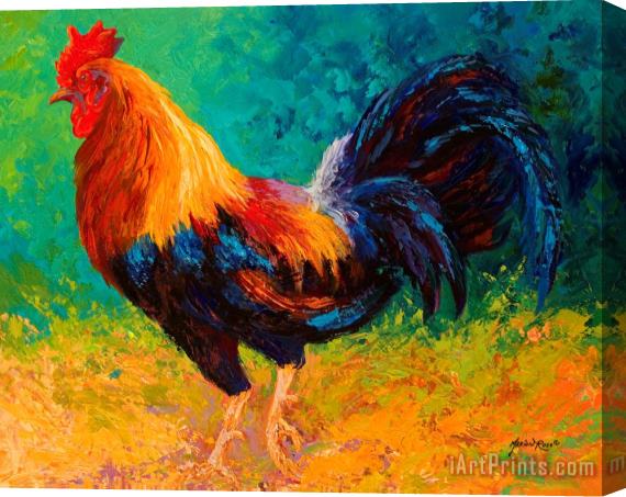 Marion Rose Mr Big - Rooster Stretched Canvas Painting / Canvas Art