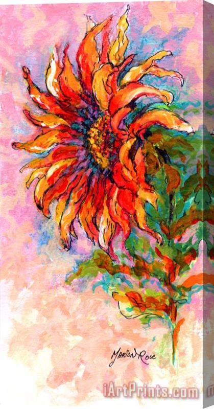 Marion Rose One Sunflower Stretched Canvas Print / Canvas Art
