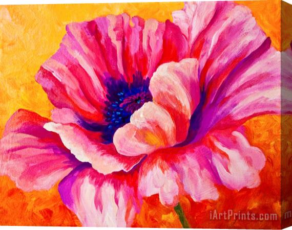 Marion Rose Pink Poppy Stretched Canvas Painting / Canvas Art