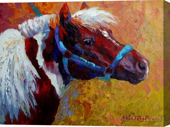 Marion Rose Pony Boy Stretched Canvas Print / Canvas Art