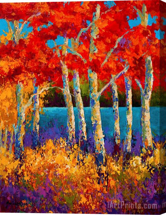 Marion Rose Red Birches Stretched Canvas Painting / Canvas Art