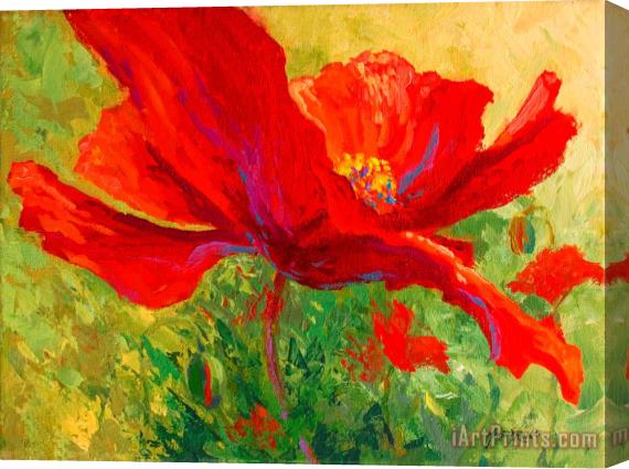 Marion Rose Red Poppy I Stretched Canvas Print / Canvas Art