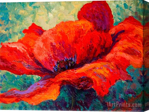 Marion Rose Red Poppy III Stretched Canvas Painting / Canvas Art