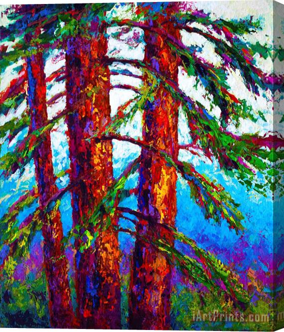 Marion Rose Sequoia Stretched Canvas Print / Canvas Art