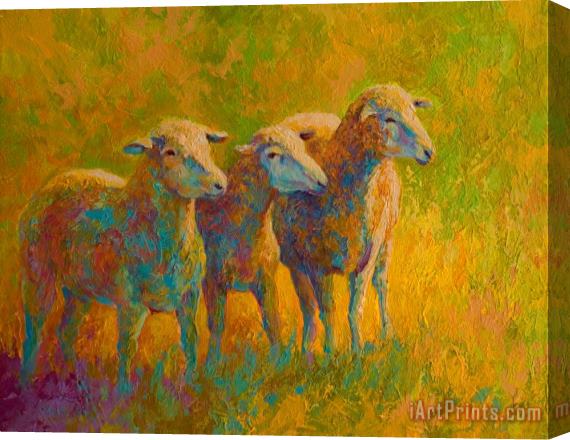 Marion Rose Sheep Trio Stretched Canvas Painting / Canvas Art