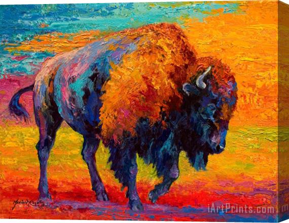 Marion Rose Spirit Of The Prairie - Bison Stretched Canvas Painting / Canvas Art