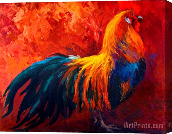 Marion Rose Strutting His Stuff - Rooster Stretched Canvas Painting / Canvas Art