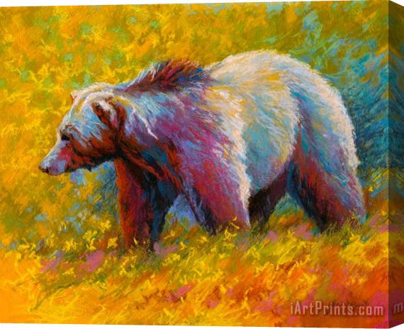 Marion Rose The Wandering One - Grizzly Bear Stretched Canvas Print / Canvas Art