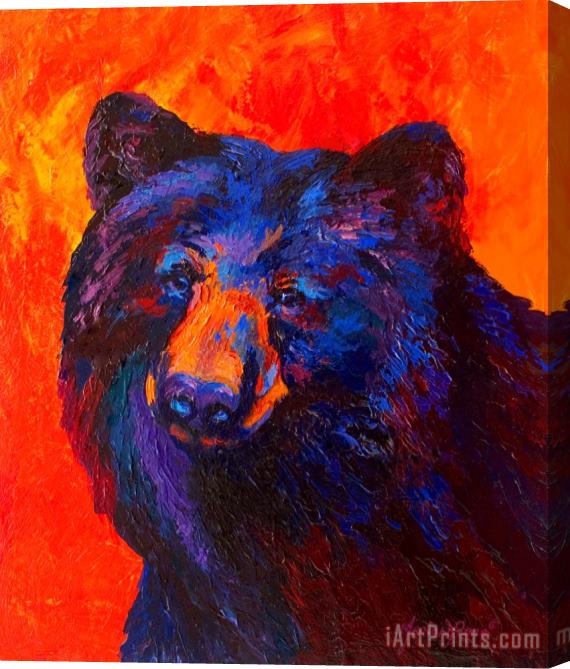 Marion Rose Thoughtful - Black Bear Stretched Canvas Painting / Canvas Art