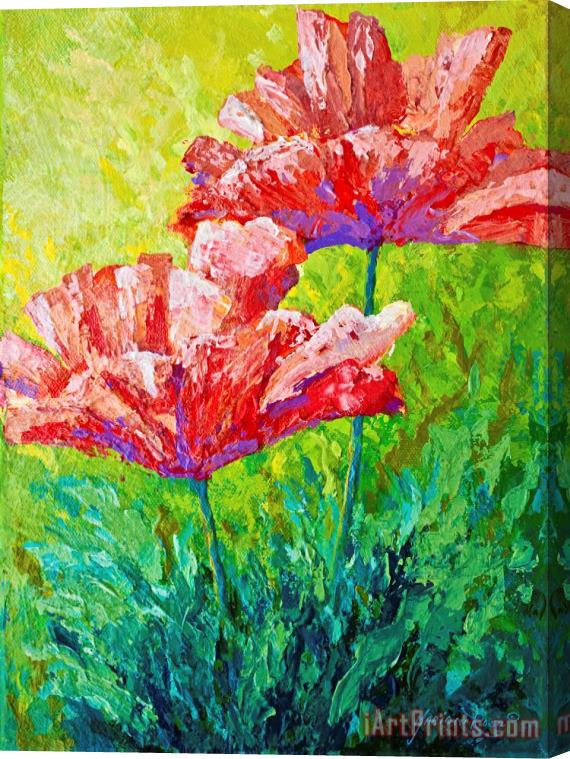 Marion Rose Two Red Poppies Stretched Canvas Painting / Canvas Art