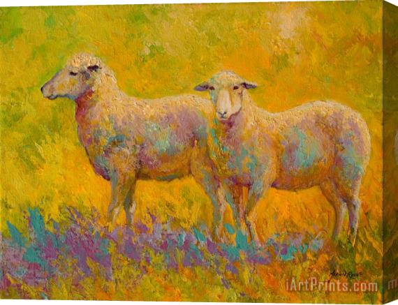 Marion Rose Warm Glow - Sheep Pair Stretched Canvas Painting / Canvas Art