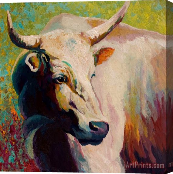Marion Rose White Bull Portrait Stretched Canvas Print / Canvas Art