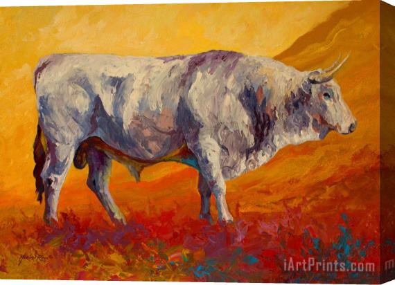 Marion Rose White Bull Stretched Canvas Print / Canvas Art