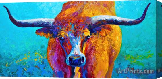 Marion Rose Widespread - Texas Longhorn Stretched Canvas Painting / Canvas Art