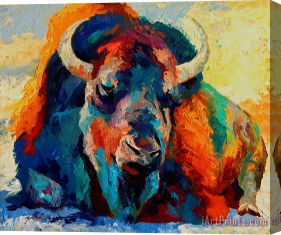 Marion Rose Winter Bison Stretched Canvas Painting / Canvas Art