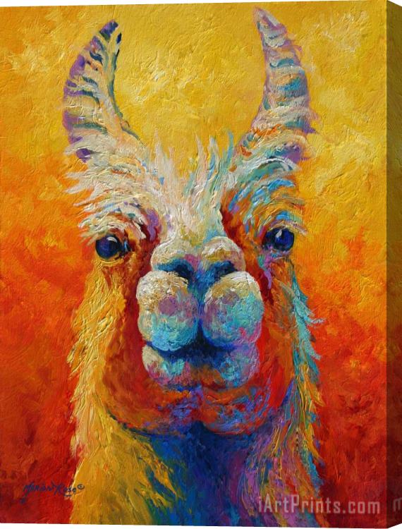 Marion Rose You Lookin At Me Stretched Canvas Painting / Canvas Art
