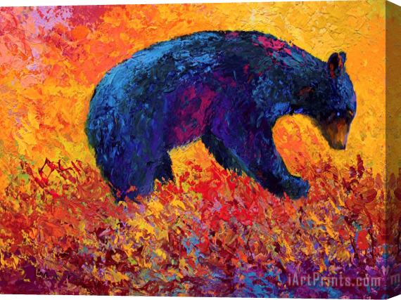 Marion Rose Young Adventuror Stretched Canvas Print / Canvas Art