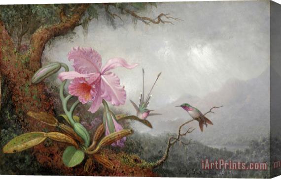 Martin Johnson Heade Hummingbirds And Orchids Stretched Canvas Painting / Canvas Art
