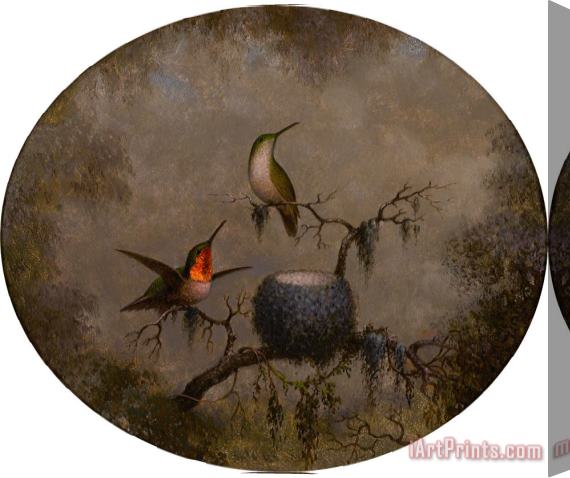 Martin Johnson Heade Hummingbirds And Their Nest Stretched Canvas Painting / Canvas Art