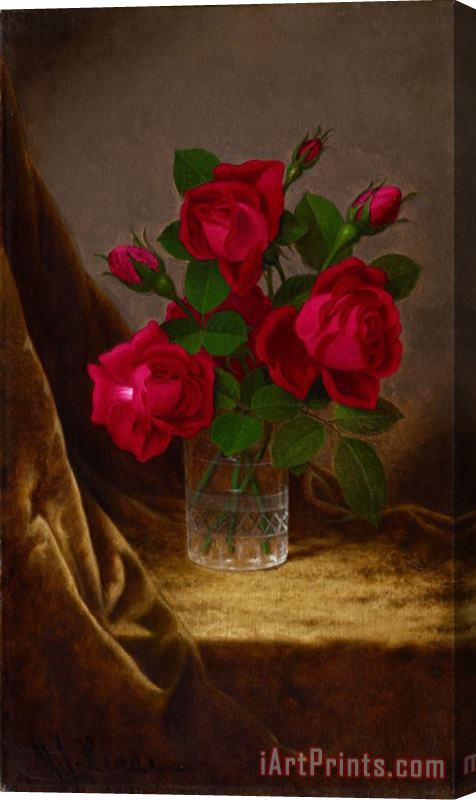Martin Johnson Heade Jacqueminot Roses Stretched Canvas Print / Canvas Art
