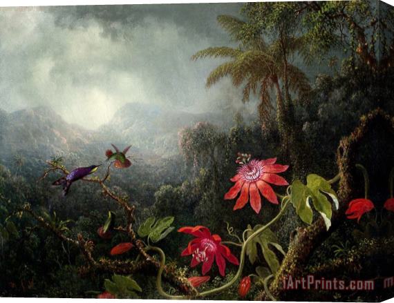 Martin Johnson Heade Passion Flowers with Three Hummingbirds Stretched Canvas Painting / Canvas Art
