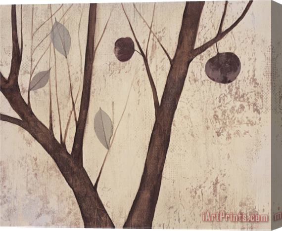 Mary Calkins Lyrical Branches I Stretched Canvas Painting / Canvas Art