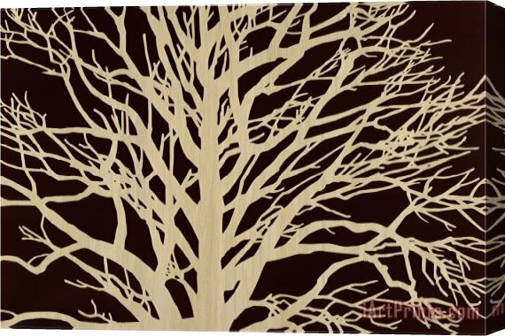 Mary Calkins Tree in Sepia Stretched Canvas Print / Canvas Art