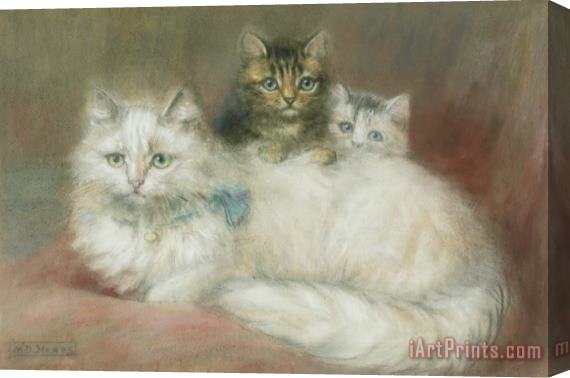 Maud D Heaps A Persian Cat and Her Kittens Stretched Canvas Painting / Canvas Art