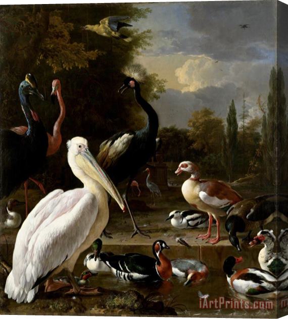 Melchior de Hondecoeter A Pelican And Other Birds Near a Pool, Known As 'the Floating Feather' Stretched Canvas Print / Canvas Art