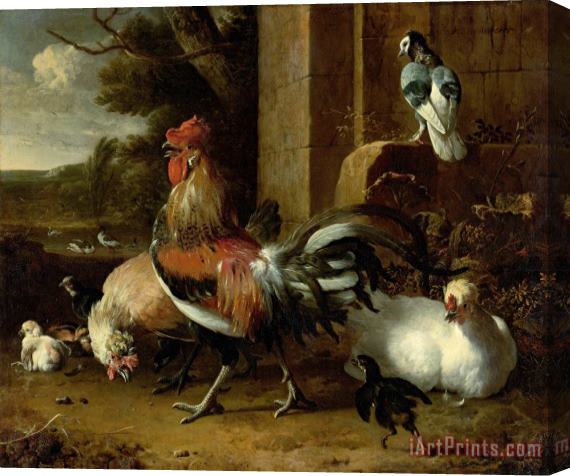 Melchior de Hondecoeter Poultry Yard Stretched Canvas Print / Canvas Art
