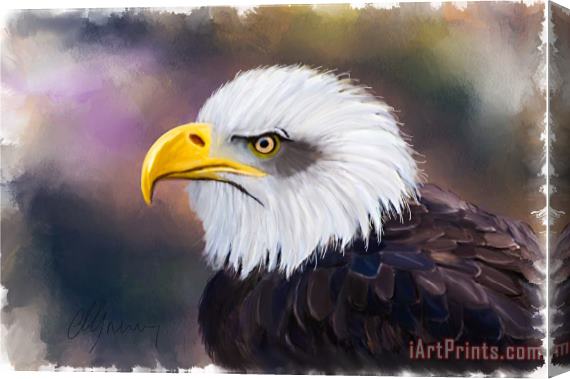 Michael Greenaway Eagle Portrait Stretched Canvas Print / Canvas Art