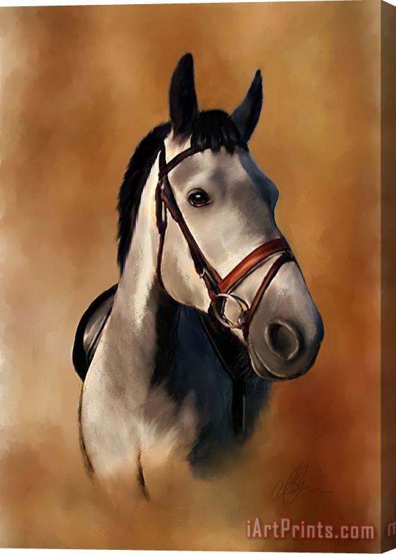 Michael Greenaway Horse Portrait Stretched Canvas Painting / Canvas Art