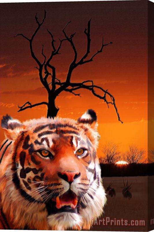 Michael Greenaway Wildlife Sunset Stretched Canvas Painting / Canvas Art