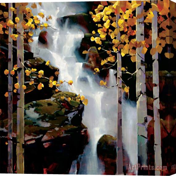 Michael O'toole Waterfall Stretched Canvas Painting / Canvas Art