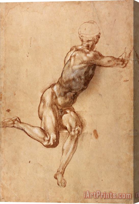 Michelangelo Buonarroti A Seated Male Nude Twisting Around C 1505 Stretched Canvas Painting / Canvas Art